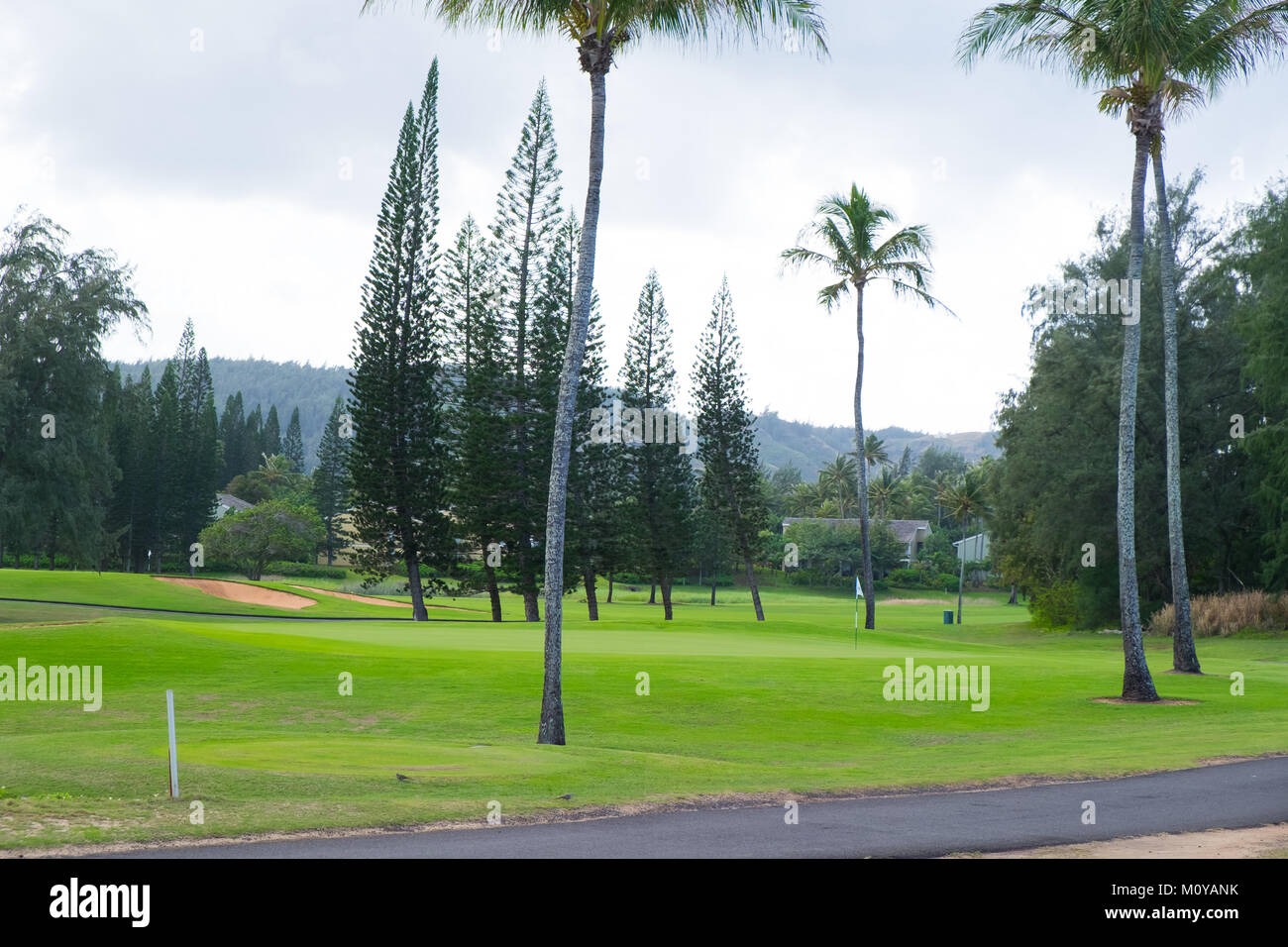 Turtle Bay Golf Course Banque D'Images