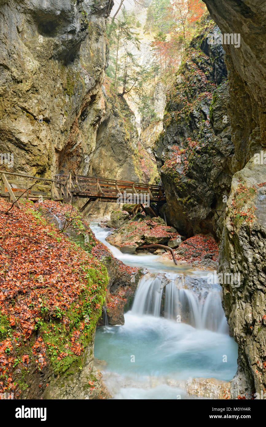 Dans le Bach Stanser Wolfsklamm,Matt,,Autriche Tyrol,Karwendel Banque D'Images