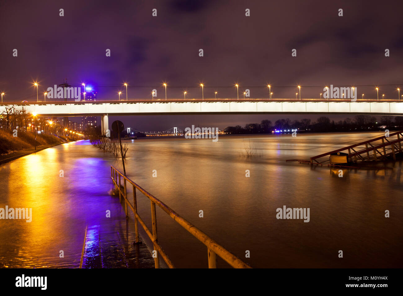 Allemagne, Cologne, marée haute du Rhin, inondé, promenade au zoo, pont en arrière-plan le Muelheimer pont. Deutschland, Koeln, Ho Banque D'Images