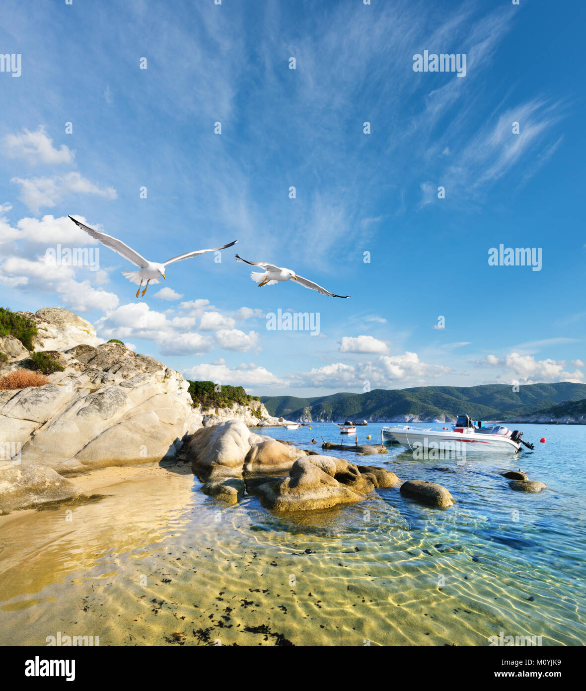 Les mouettes volent au-dessus de l'eau peu profonde dans la baie de Kalamitsi, Sithonia, Halkidiki, Grèce Banque D'Images