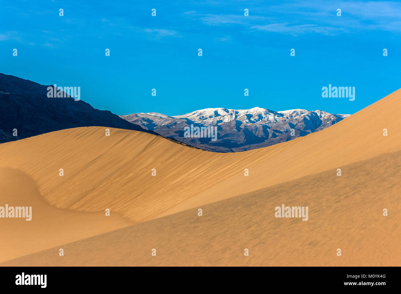 Dunes près de snowy mountain range Banque D'Images