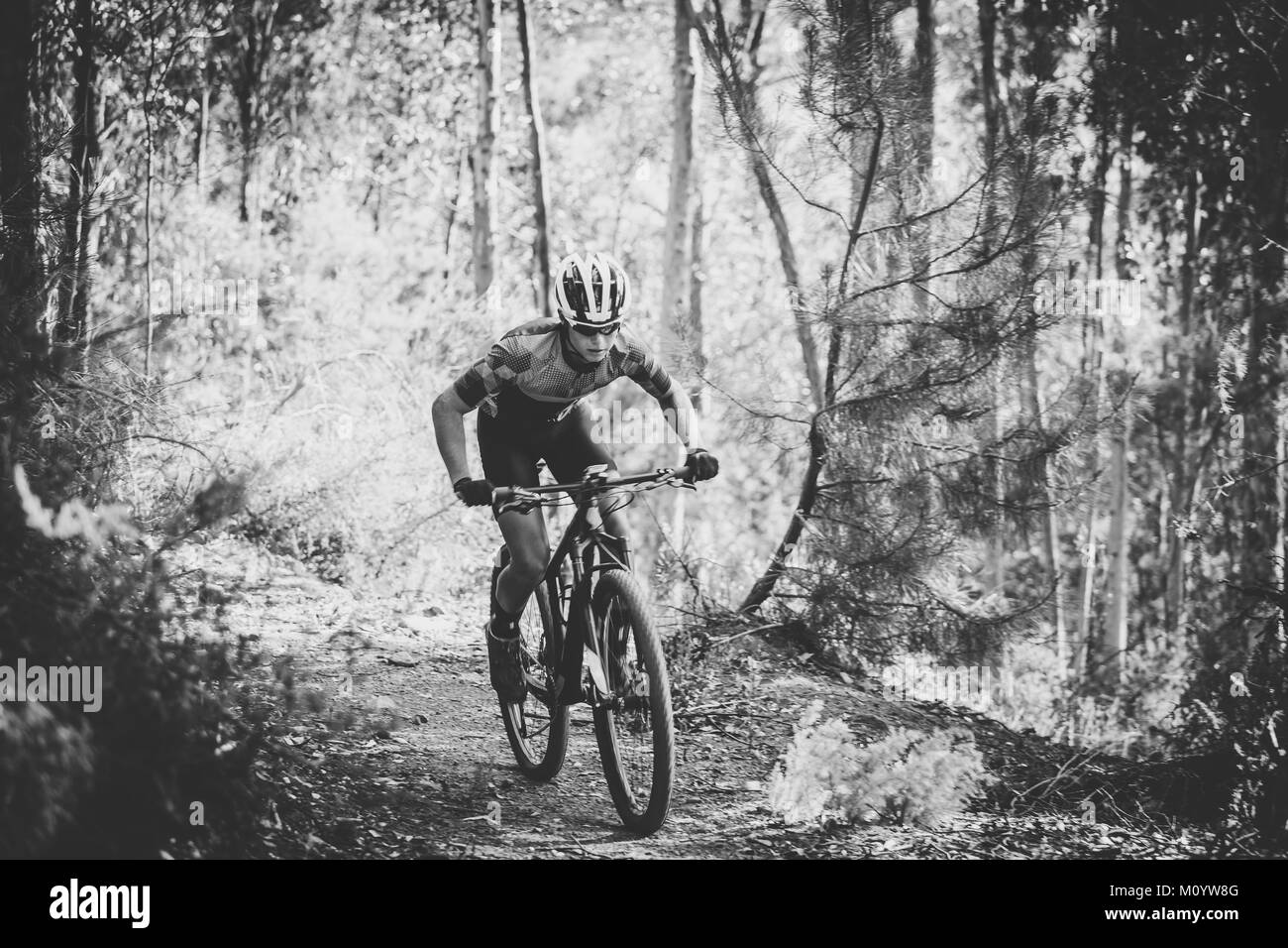 Vue grand angle d'un excès de vélo de montagne en descente sur une piste de vélo de montagne dans les bois Banque D'Images