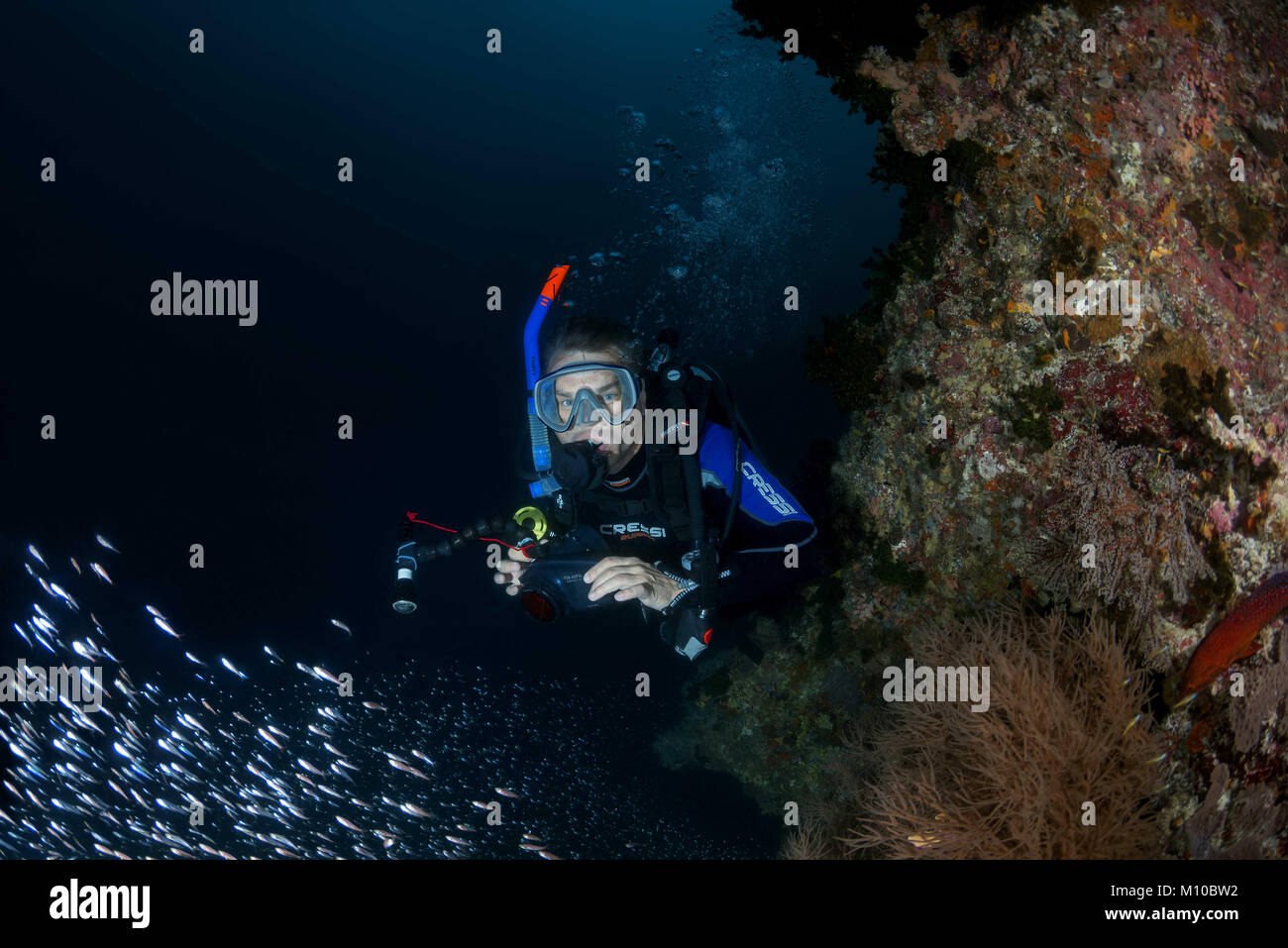 L'Océan indien, les Maldives. Août 28, 2017. Plongeur mâle et de l'école de poissons de verre - Pigmy Sweeper Crédit : Andrey Nekrasov/ZUMA/ZUMAPRESS.com/Alamy fil Live News Banque D'Images