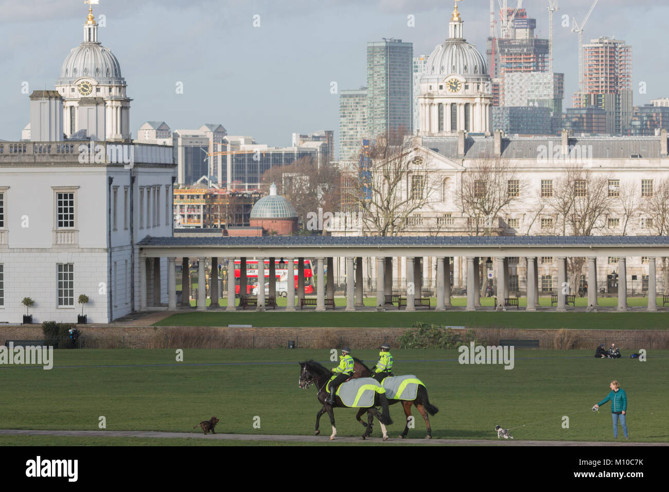 Canada trotting par Greenwich Park dans le sud-est de Londres en janvier le soleil. Banque D'Images