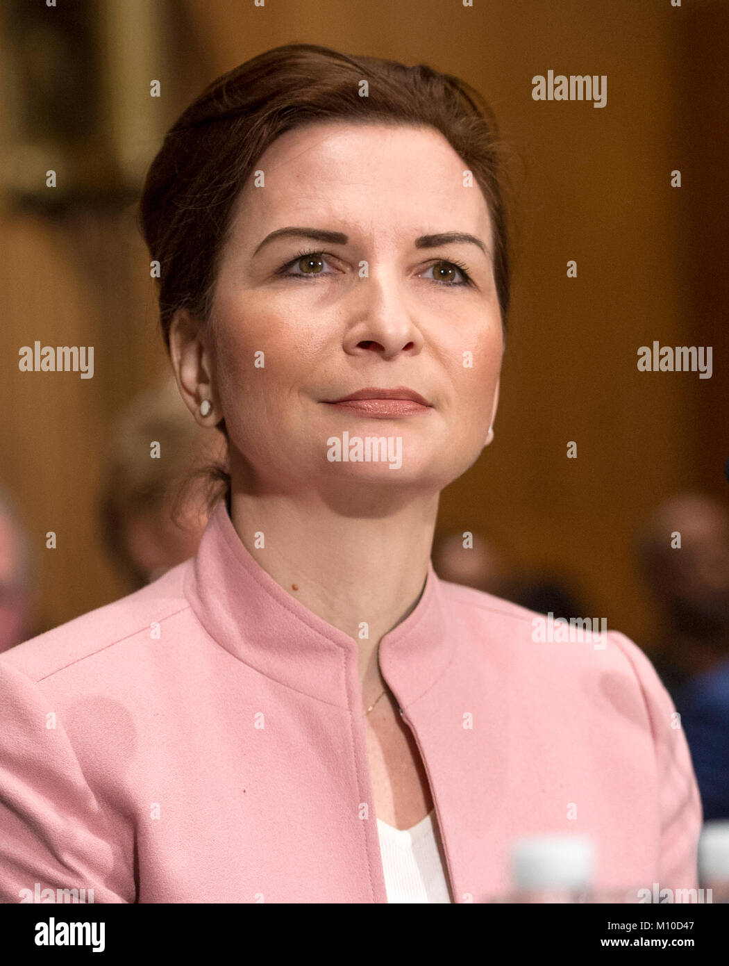 Washington, USA. 23 Jan, 2018. Jelena McWilliams témoigne devant le comité du sénat américain des banques, du logement et des Affaires urbaines pour sa nomination pour être président et membre du conseil d'administration de la Federal Deposit Insurance Corporation (FDIC) sur la colline du Capitole à Washington, DC le Mardi, Janvier 23, 2018. Credit : Ron Sachs/CNP Crédit : Ron Sachs/consolidé Nouvelles Photos/Ron Sachs - CNP/dpa/Alamy Live News Banque D'Images