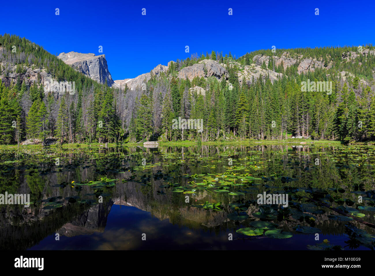 Le magnifique Lac de nymphe avec la réflexion et l'eau claire, de Rocky Mountain National Park, Colorado Banque D'Images