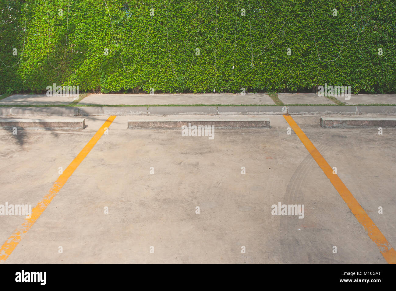 L'espace vide du parking voiture avec green bush dans le contexte lors de parc public. Banque D'Images