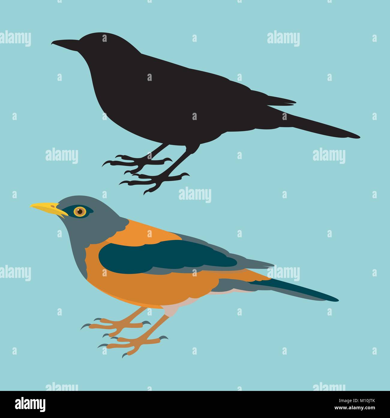 Illustration Vecteur Oiseau Rougequeue Noir Style Plat