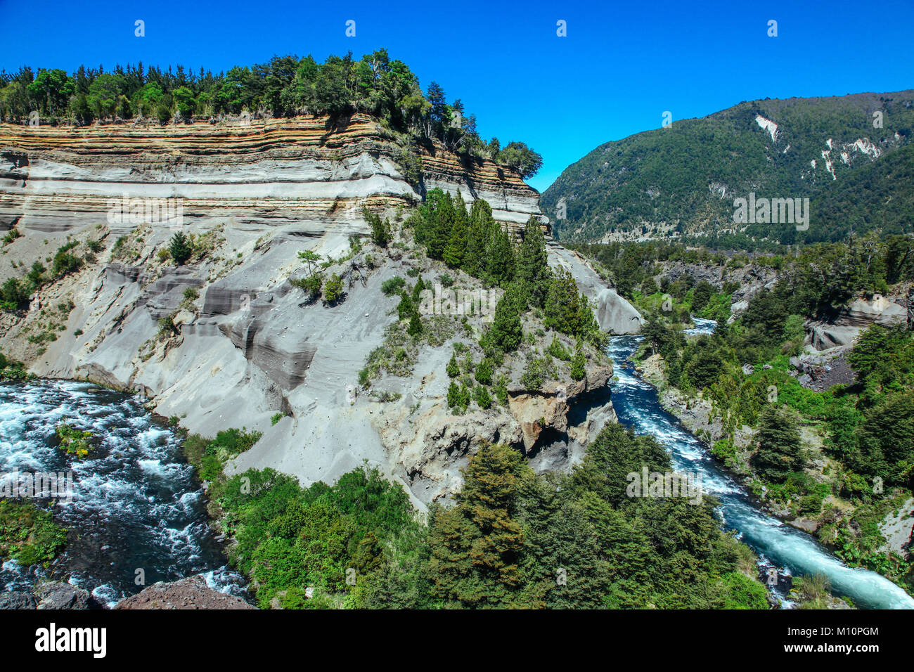conguillio-national-park-banque-de-photographies-et-d-images-haute
