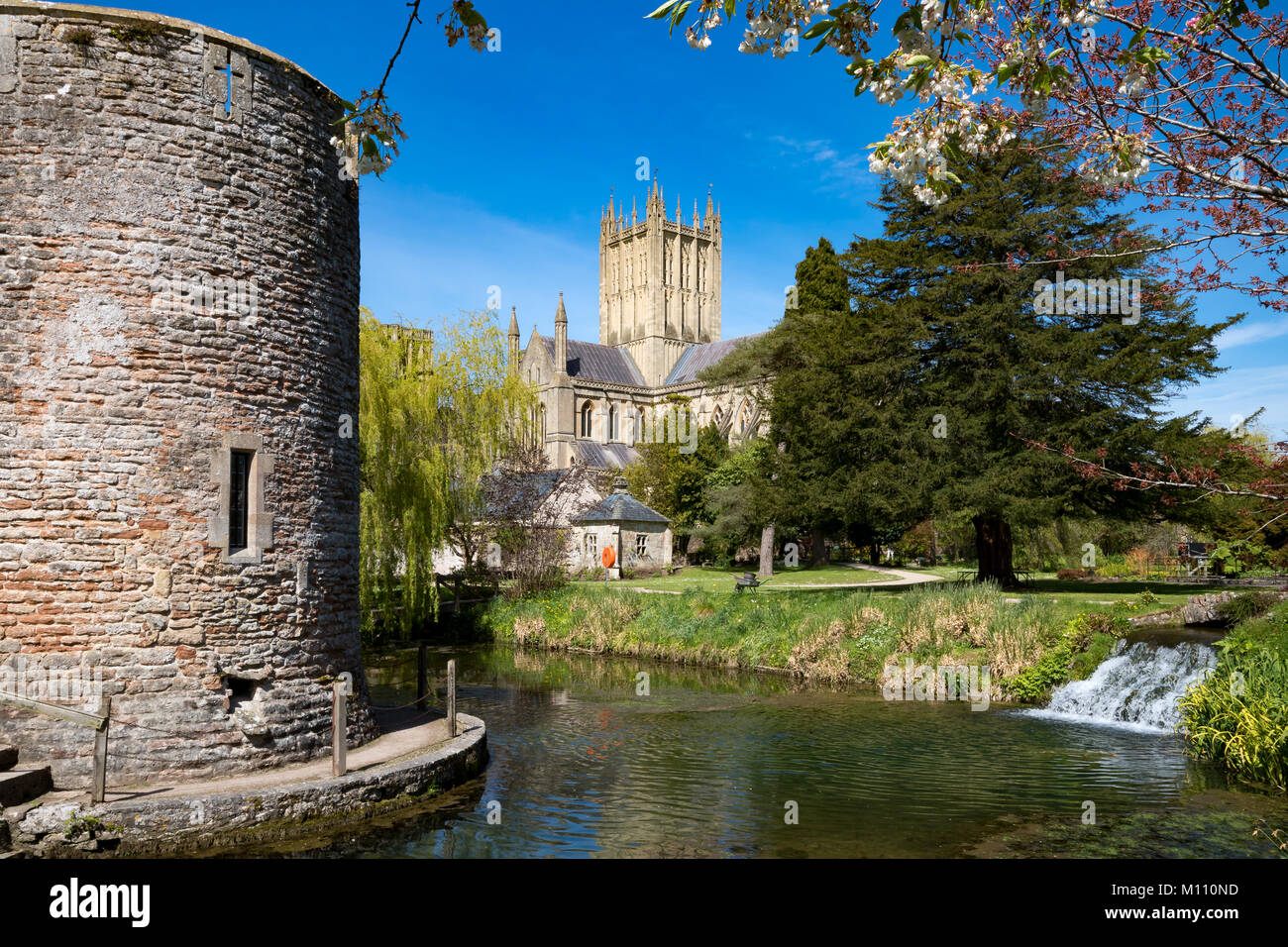 Angleterre Somerset Wells le 4 mai 2016 Le mur et les douves de l'Évêché Banque D'Images