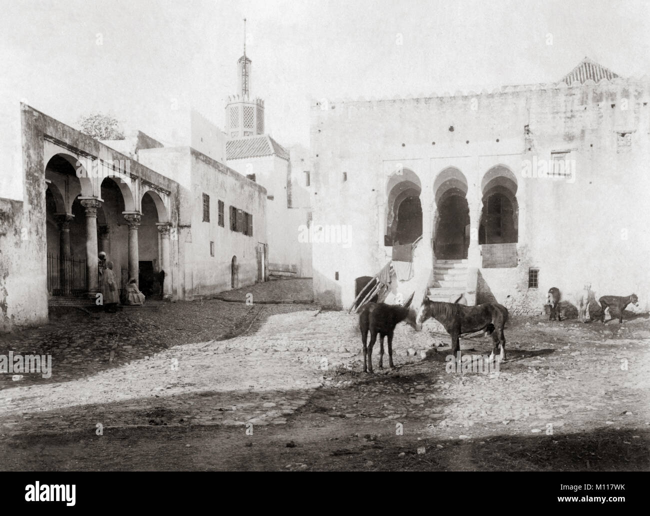 Les chevaux et les ânes dans un carré, Tanger, Maroc, c.1890's Banque D'Images