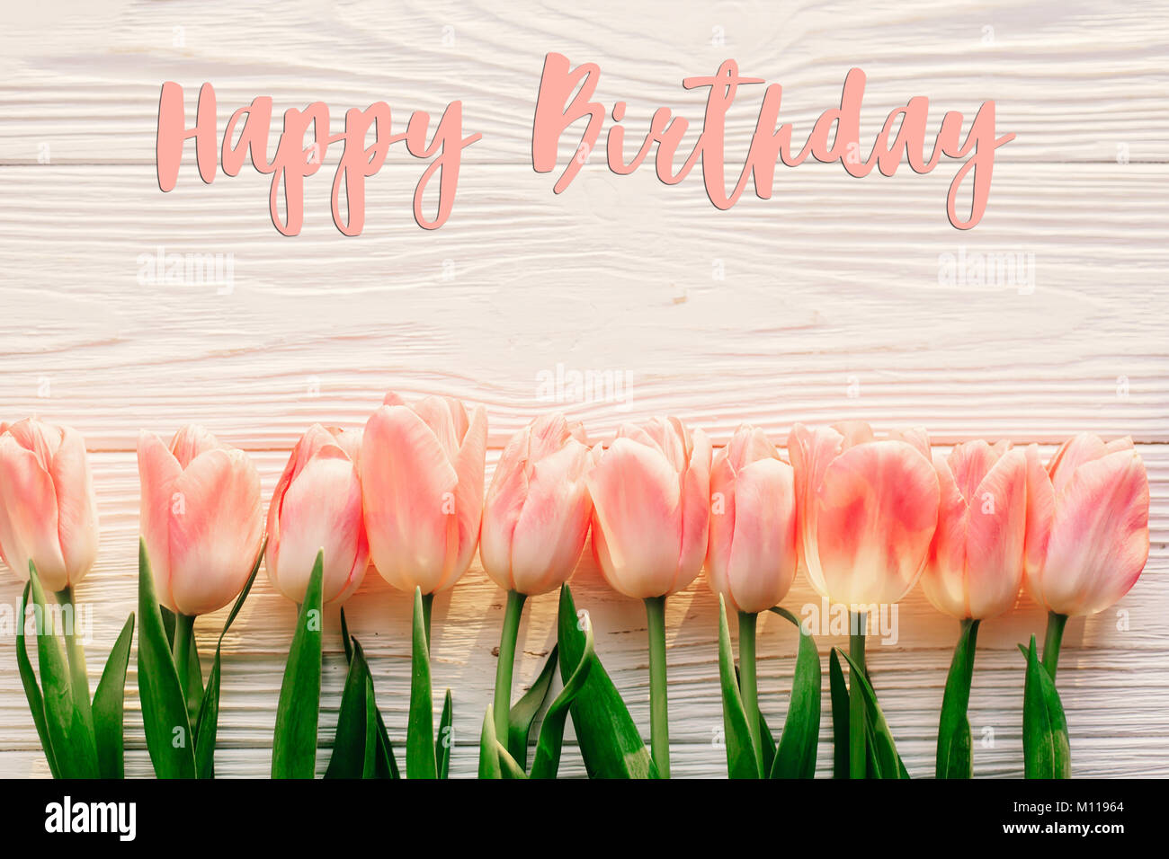 Joyeux Anniversaire Signe Texte Sur Tulipe Rose Sur Fond Blanc En Bois Rustique Television Jeter Printemps Vue De Dessus Des Fleurs Dans La Lumiere Du Matin Doux Avec Espace Pour Te Photo