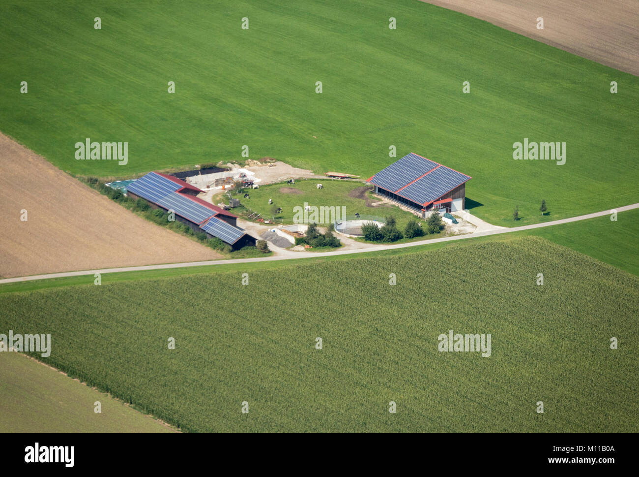 Vue aérienne de pâturages et champs près de cos, Dettenschwang Dießen am Ammersee, Allemagne Bavière Banque D'Images