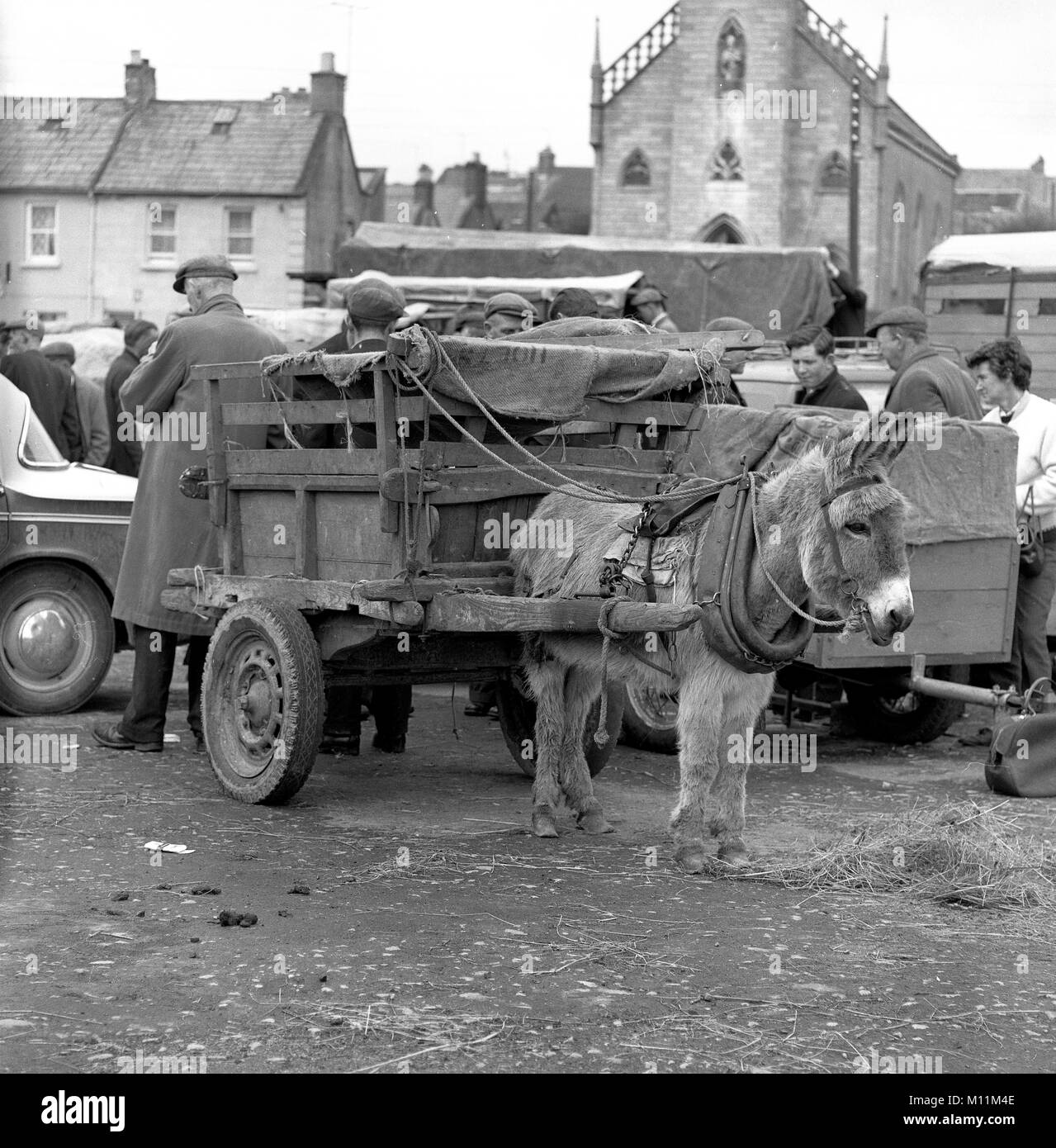 L'âne et le panier au marché de Galway en Irlande Banque D'Images