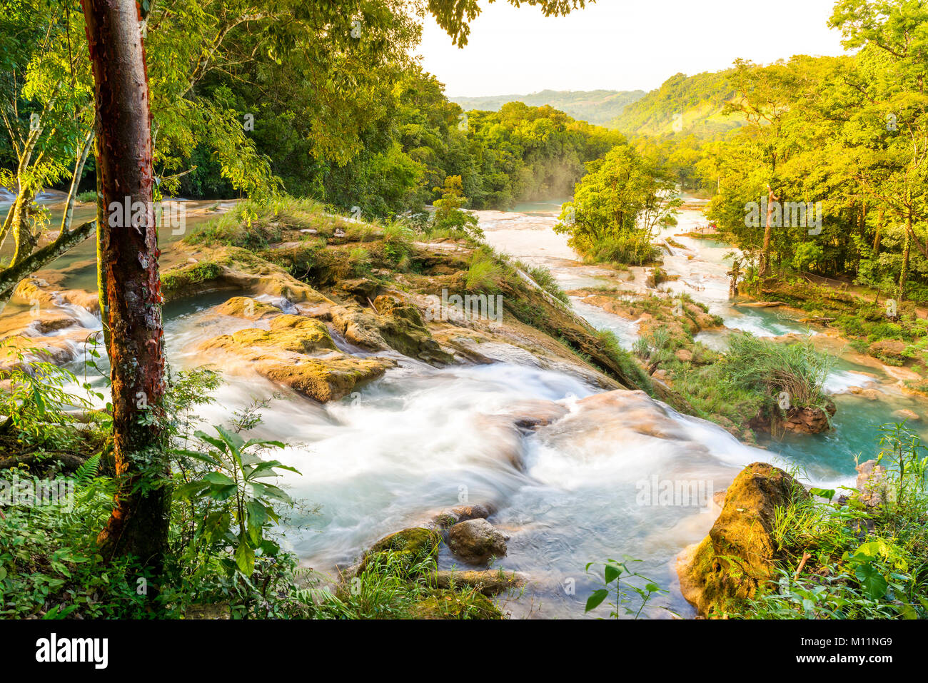 Agua Azul chute près de Palenque au Chiapas, Mexique Banque D'Images