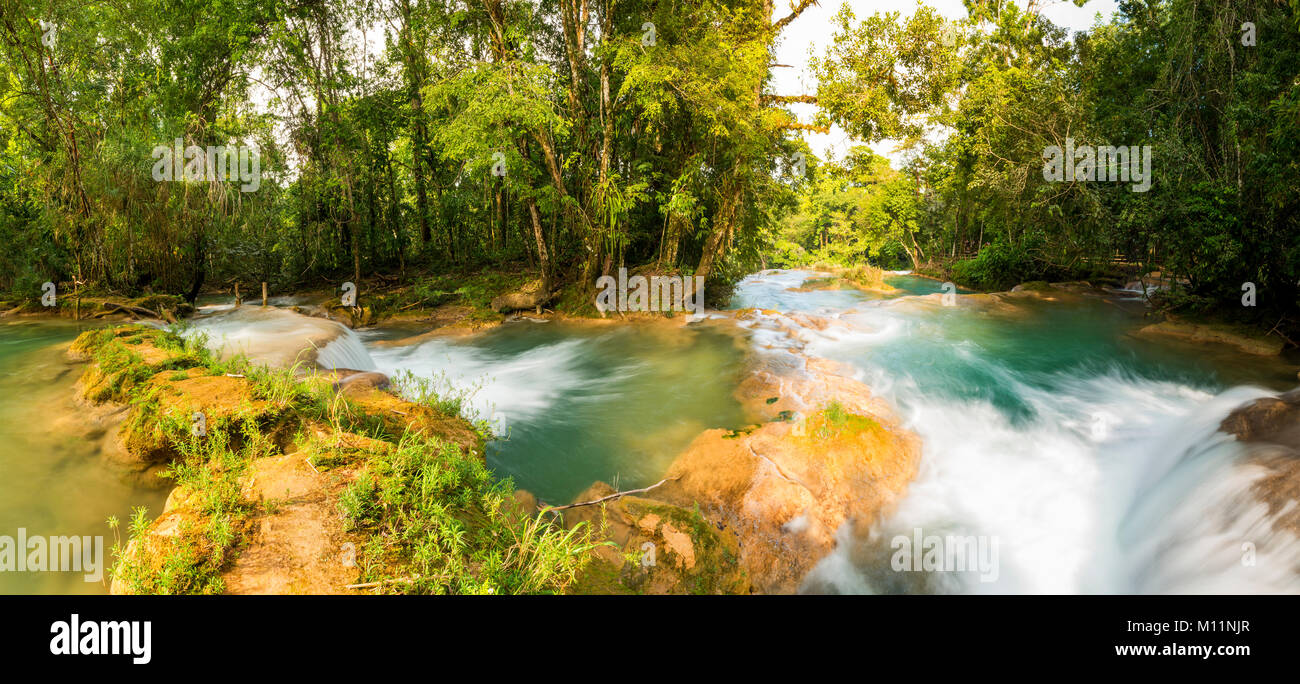 Panorama de l'Agua Azul chute près de Palenque au Chiapas, Mexique Banque D'Images