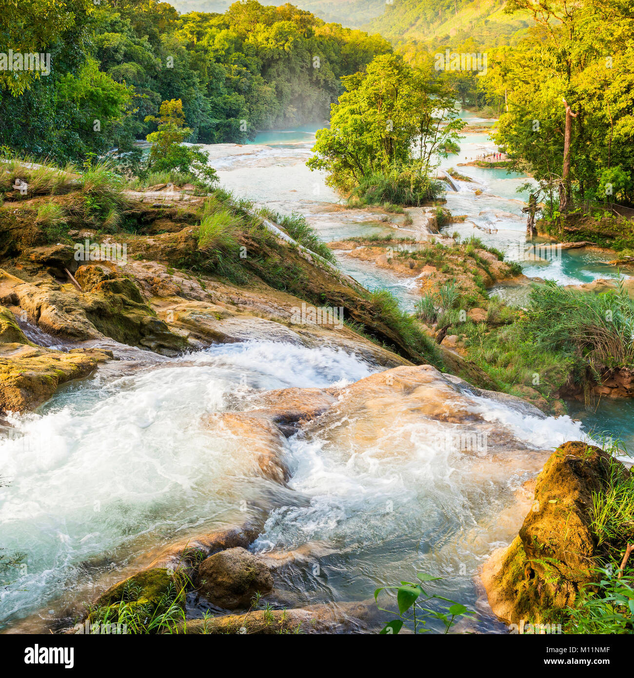 Agua Azul chute près de Palenque au Chiapas, Mexique Banque D'Images