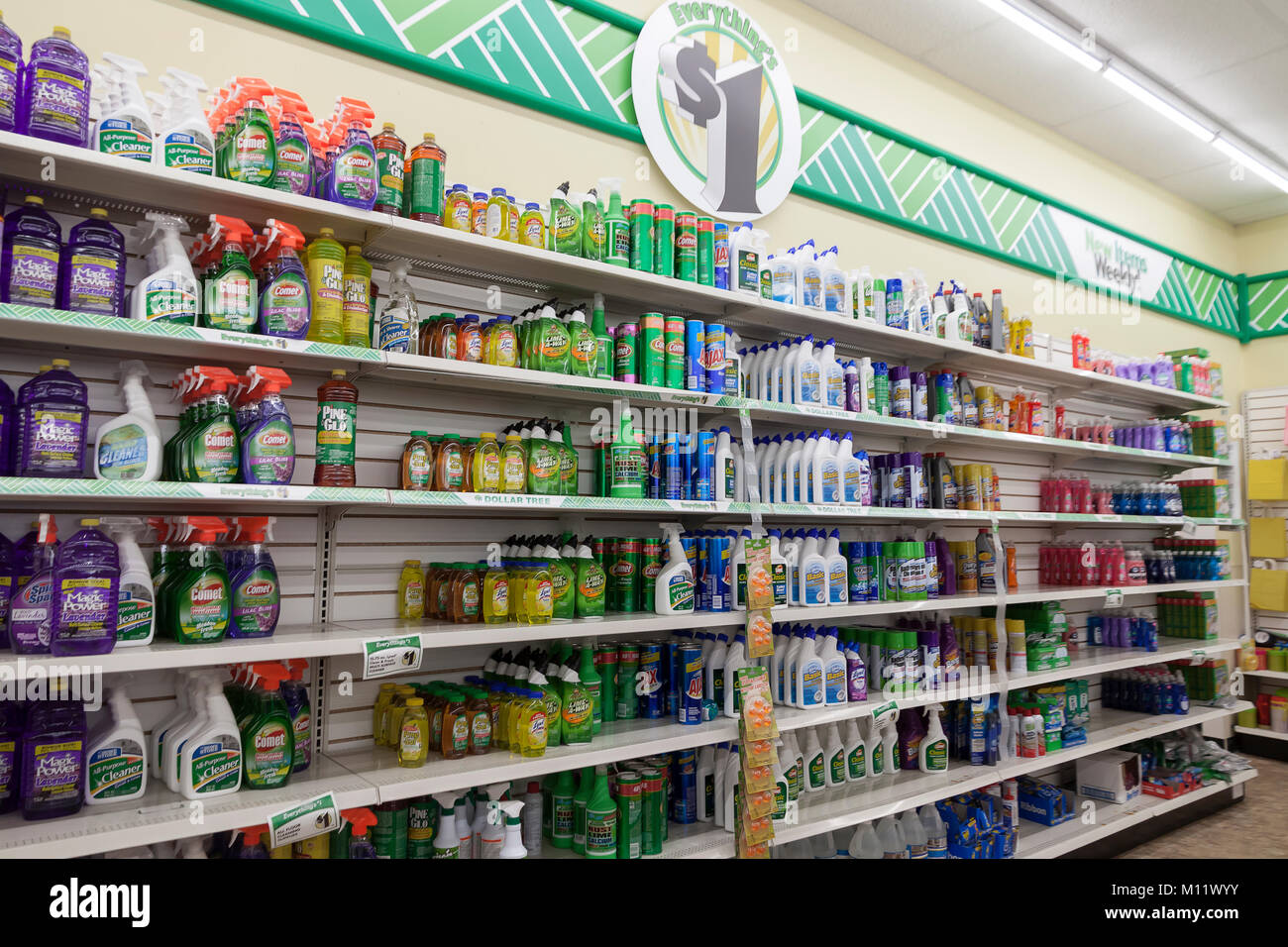 Produits de nettoyage pour la vente sur des étagères dans un magasin Dollar Tree à Fort Lauderdale, Floride, USA. Banque D'Images