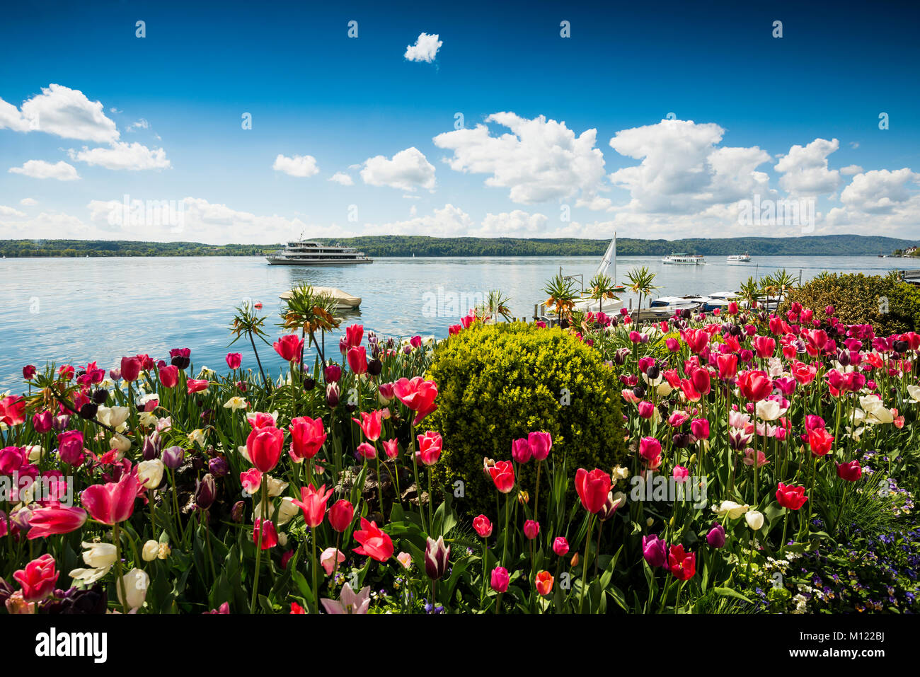 Promenade en bord de mer avec tulip lits, Überlingen,Lac de Constance,Baden-Württemberg, Allemagne Banque D'Images