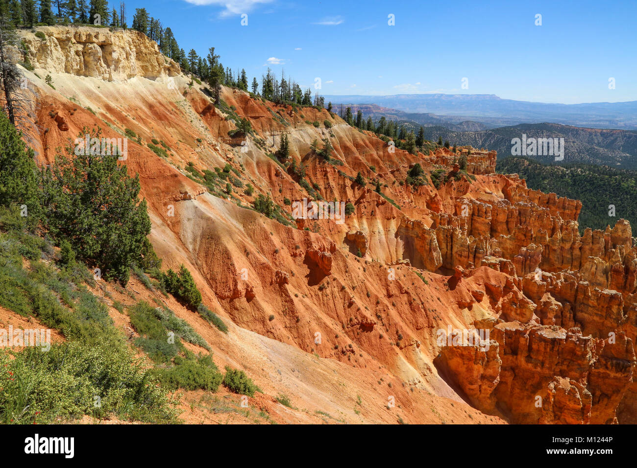 Une vue à partir de 8904' point de Ponderosa Ponderosa Canyon dans le Parc National de Bryce, UT Banque D'Images