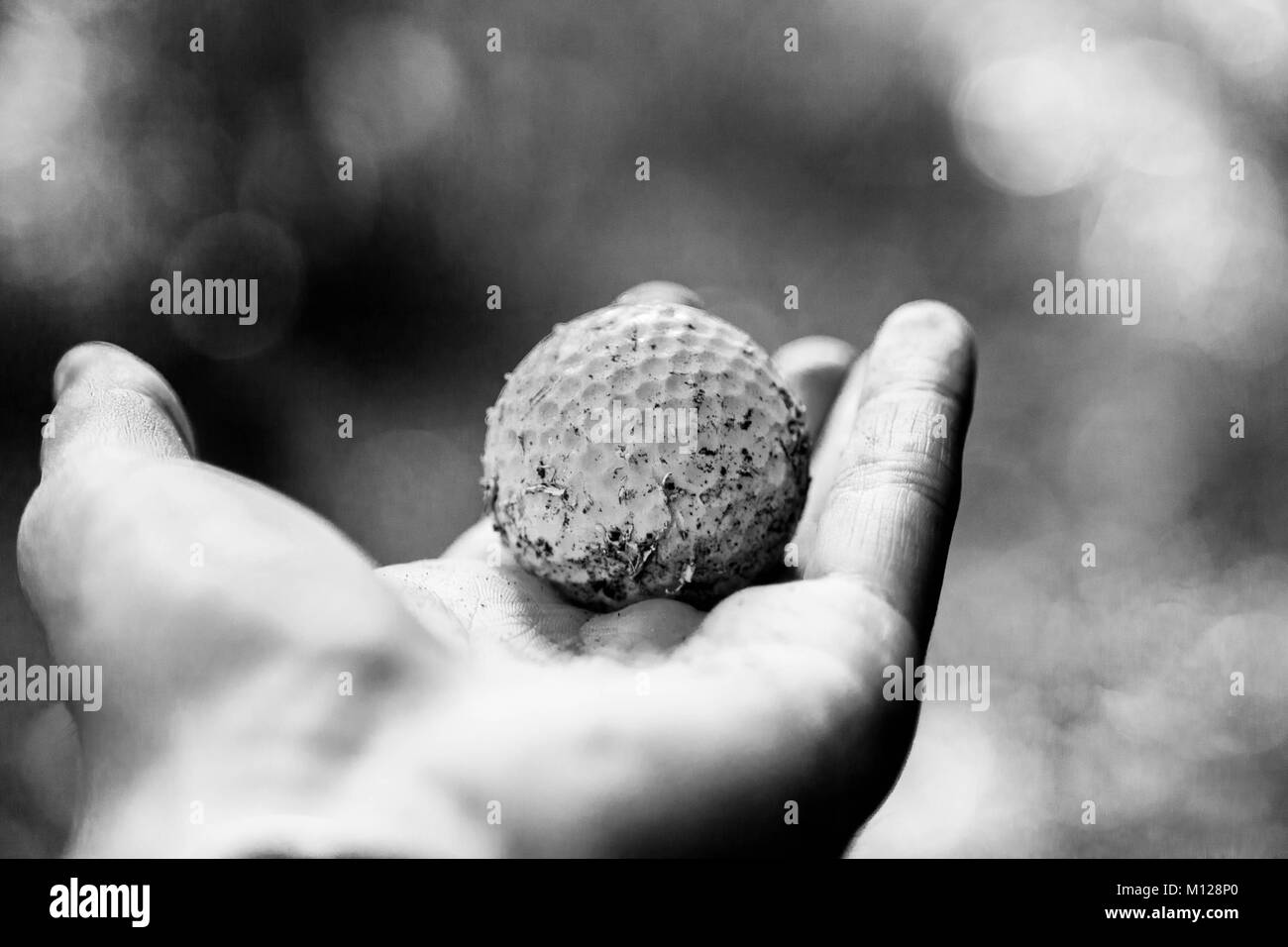 Une balle de golf mâché affichée sur une paume ouverte en noir et blanc Banque D'Images