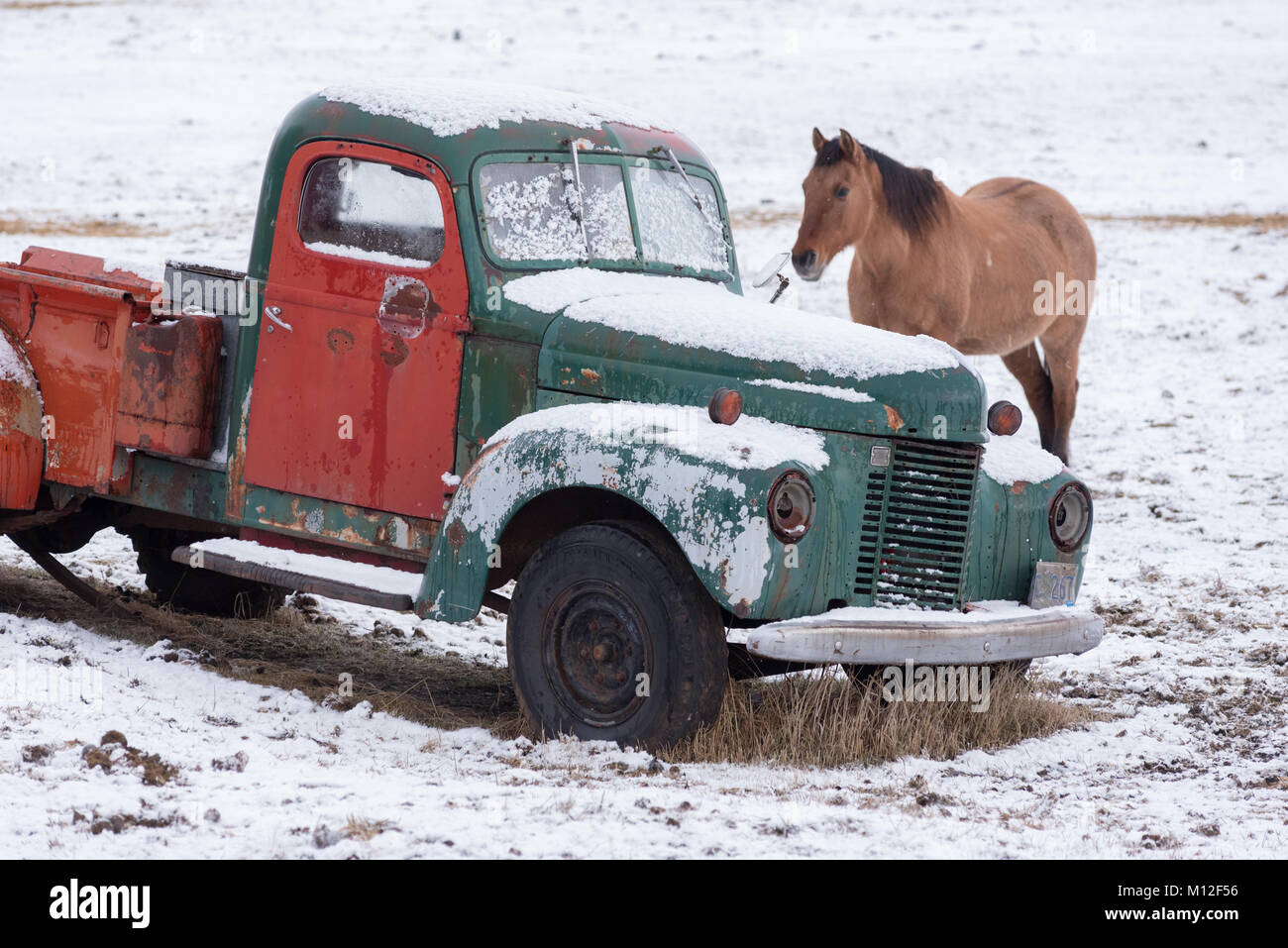 L'article par un vieux camion dans un pâturage en Oregon's Wallowa Valley. Banque D'Images