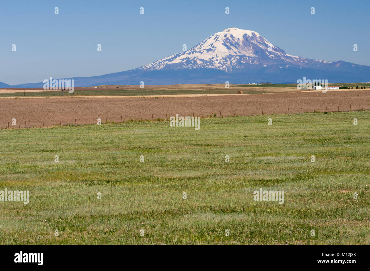 Les champs agricoles productives à la base du Mont Adams volcanique. Washington, États-Unis Banque D'Images