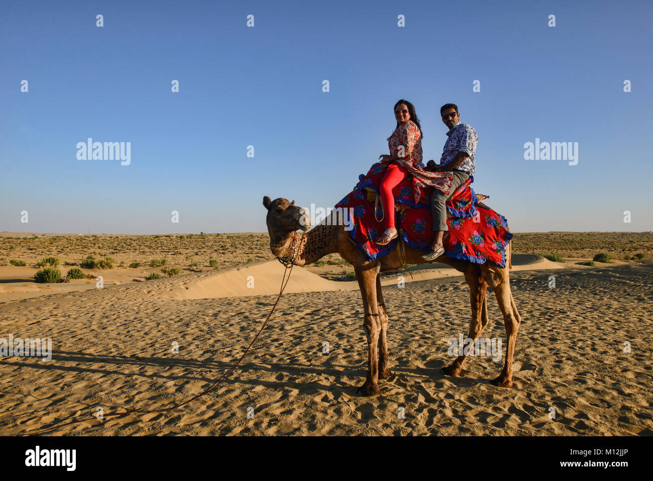 Randonnée chamelière dans le désert de Thar, Rajasthan, Inde Banque D'Images