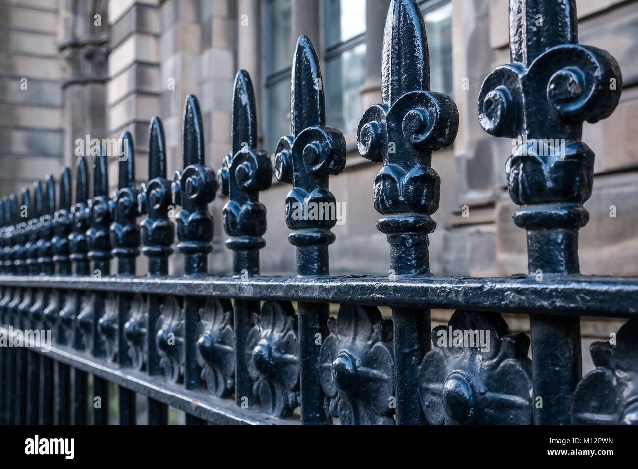 Close up of Victorian noire fonte fer forgé avec motif fleur de lys, Chambers Street, Édimbourg, Écosse, Royaume-Uni, avec des perspectives de ligne Banque D'Images