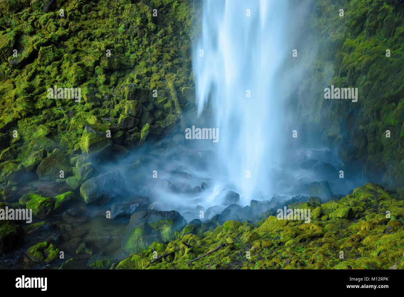 Watson Falls, Umpqua National Forest, de l'Oregon. Banque D'Images