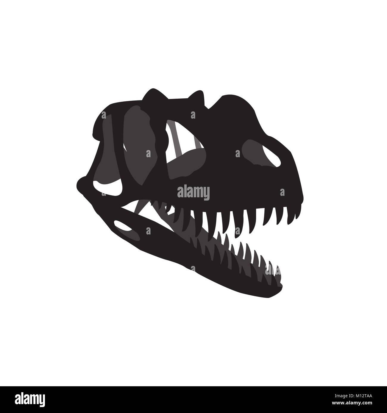 Vecteur crâne de dinosaure Banque D'Images