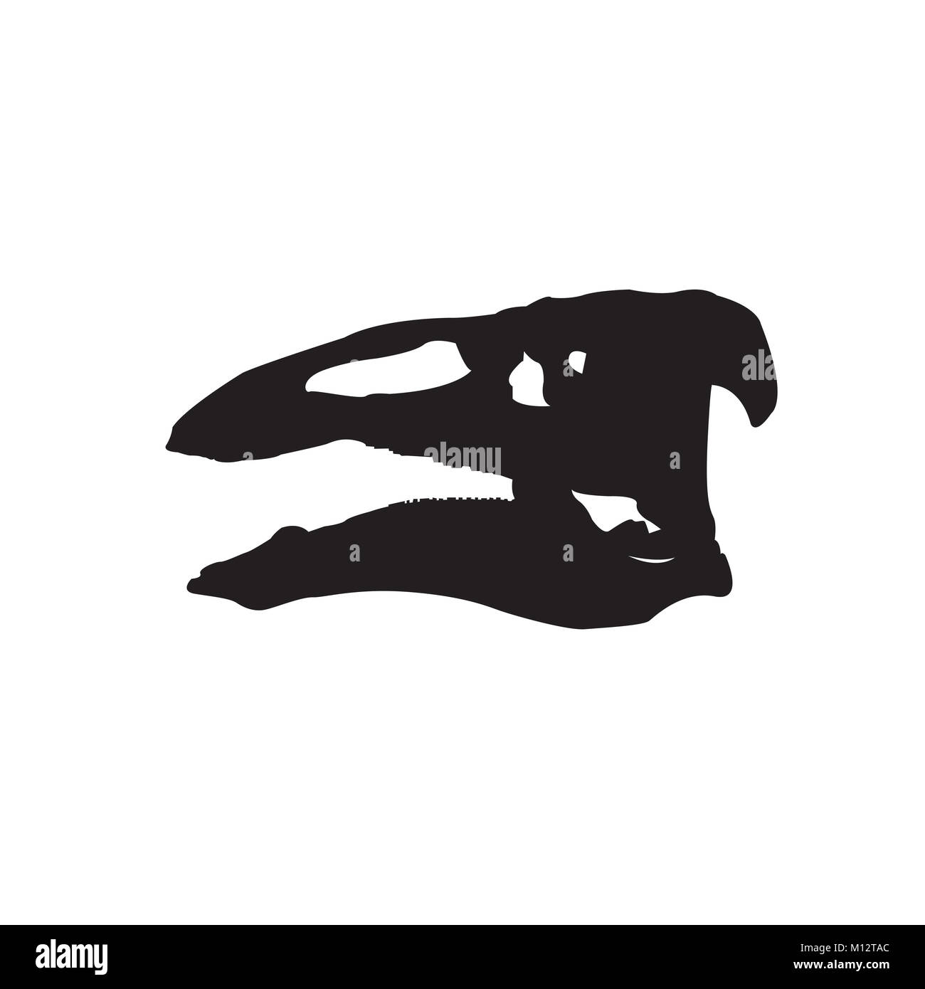 Vecteur crâne de dinosaure Banque D'Images