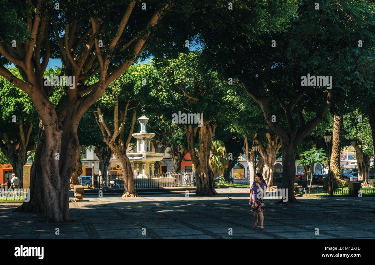 La Laguna, Tenerife, Canaries, Espagne - 23 mai 2017 : Adelantado Square dans un écrin de verdure et d'arbres puissants avec fontaine à San Cristobal de La Banque D'Images