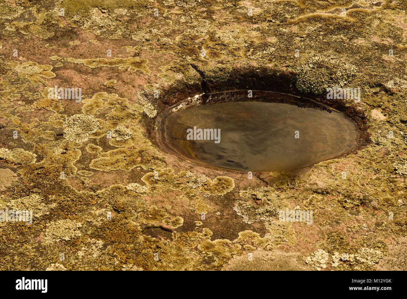 Une petite piscine remplie d'eau dans une pierre Banque D'Images