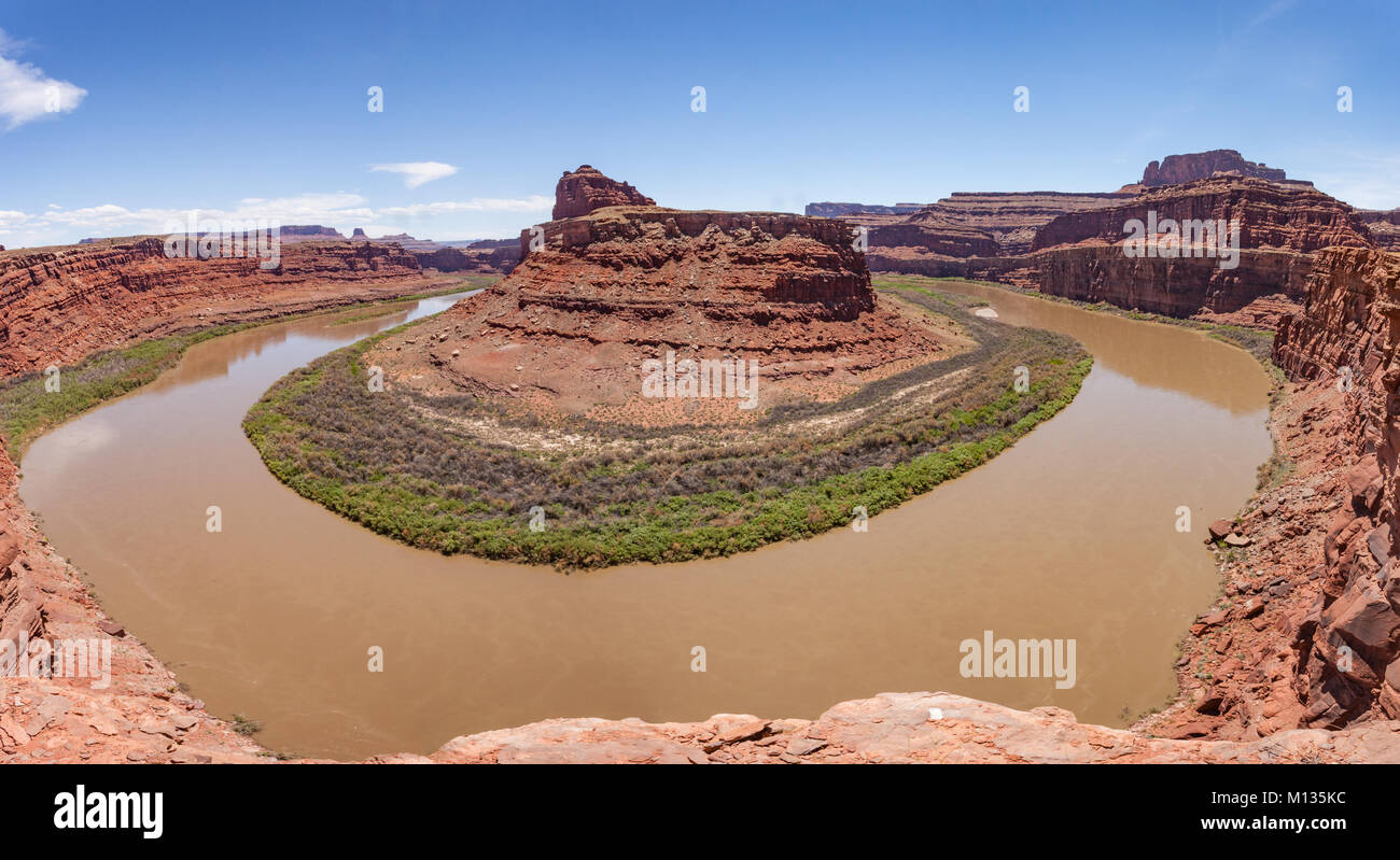 Cheval mort plier le long de la rivière Colorado en Utah Banque D'Images