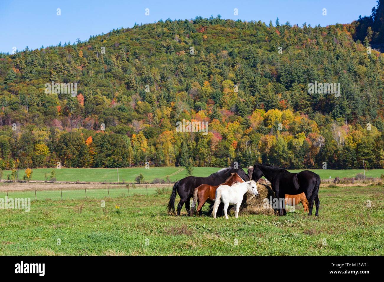 Canada, province de Québec, Outaouais, la région du Pontiac, Sheenboro