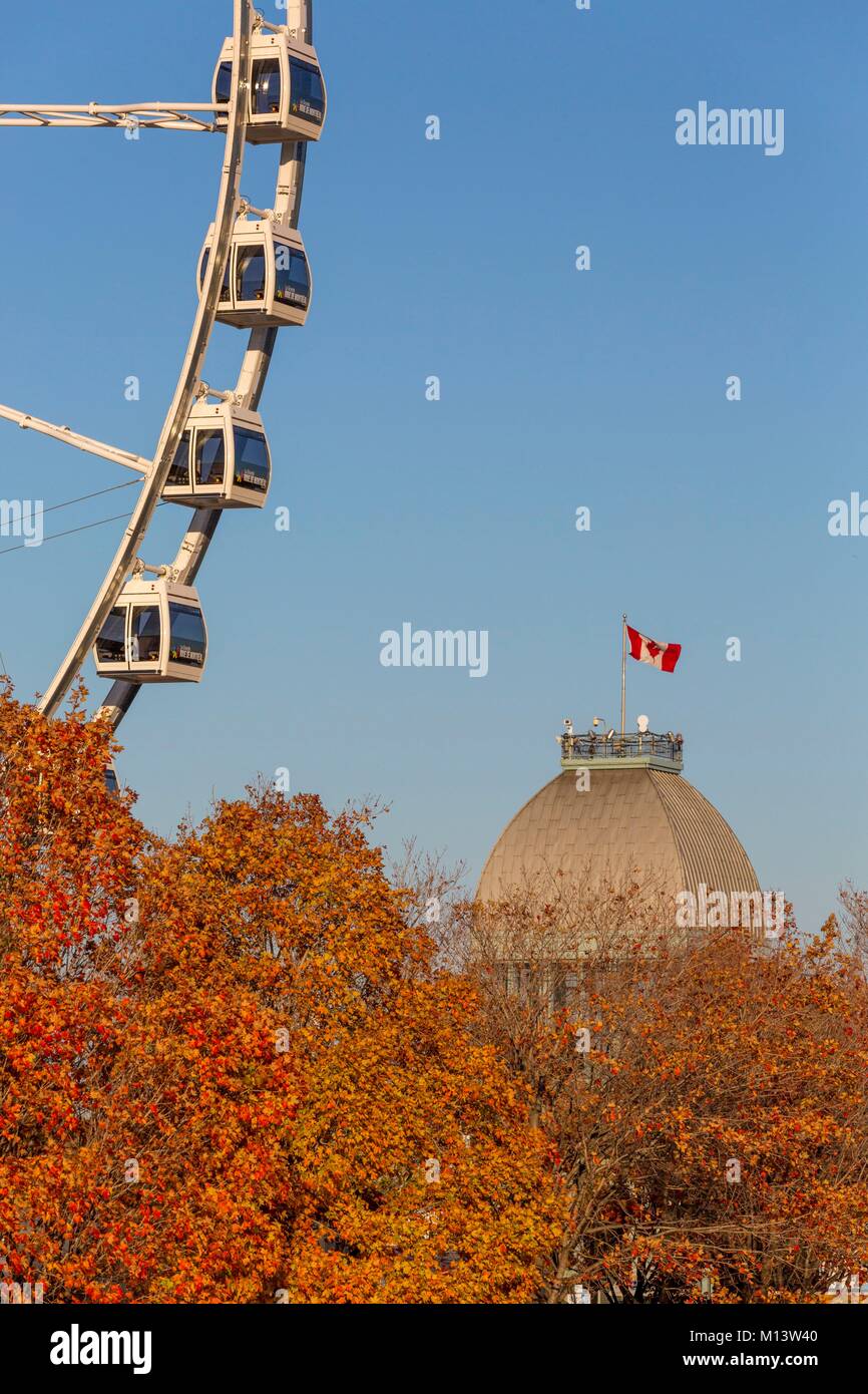 Canada, Province de Québec, Montréal, le Vieux Port, la grande roue avec 42 cabines et installé à l'Bassin Bonsecours Banque D'Images