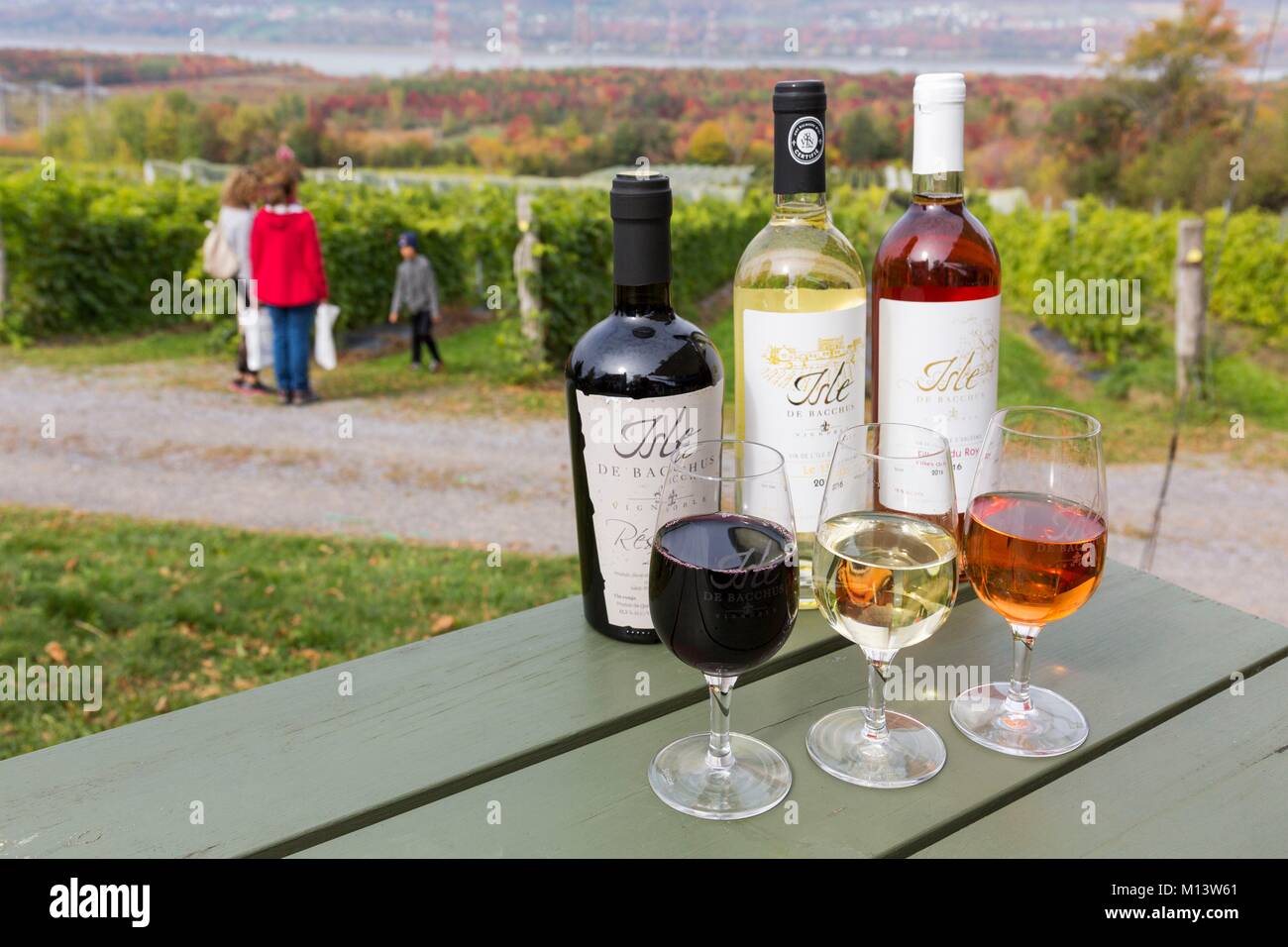 Canada, province de Québec, la région de Québec, l'île d'Orléans, Saint