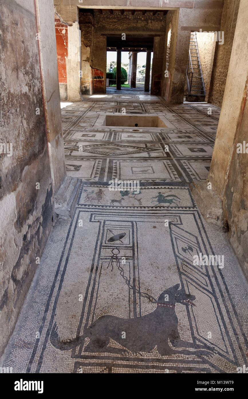 L'Italie, Campanie, Pompéi, inscrite au Patrimoine Mondial de l'UNESCO, Paquius Proculus, maison mosaïque chien Banque D'Images