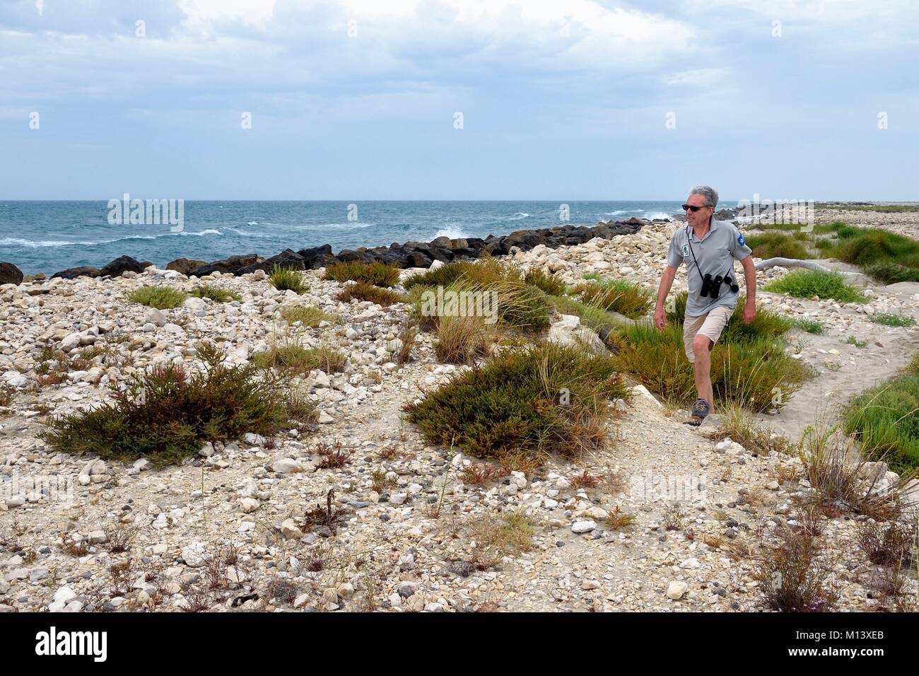France, Bouches du Rhône, Parc naturel régional de Camargue (Parc Naturel Régional de Camargue), le grand remblai par la mer Banque D'Images