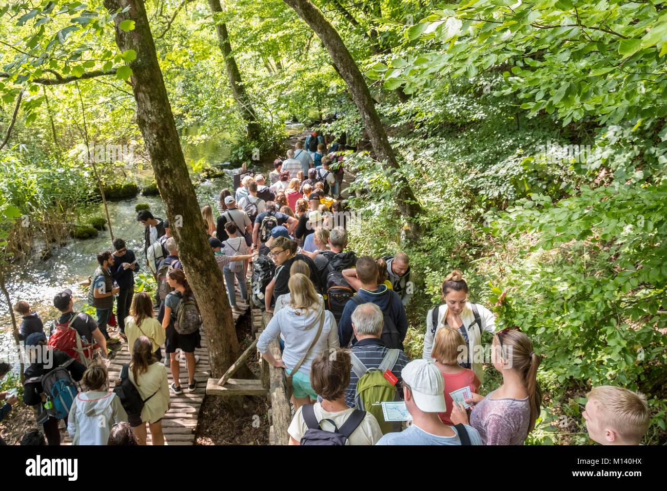 La Croatie, Dalmatie du Nord, le parc national des Lacs de Plitvice classé au Patrimoine Mondial de l'UNESCO, piste de marche au niveau de la partie basse des lacs Banque D'Images