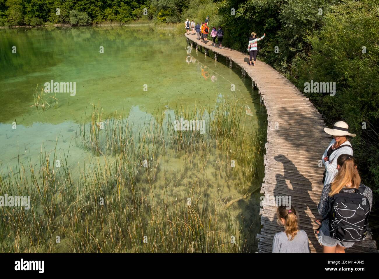 La Croatie, Dalmatie du Nord, le parc national des Lacs de Plitvice classé au Patrimoine Mondial de l'UNESCO, Lower Lakes Banque D'Images