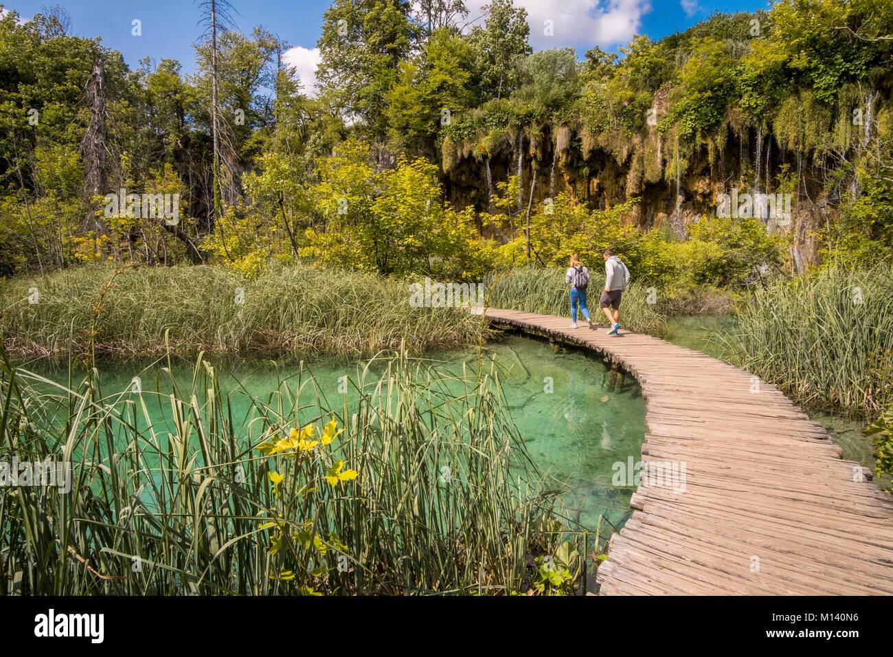 La Croatie, Dalmatie du Nord, le parc national des Lacs de Plitvice classé au Patrimoine Mondial de l'UNESCO, Lower Lakes Banque D'Images