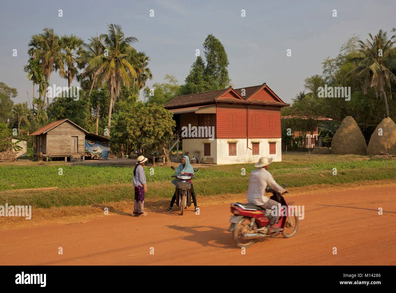 Cambodge, Siem Reap, les villageois pour scooter sur un chemin de latérite en face de maisons en bois et des cocotiers dans la campagne Banque D'Images