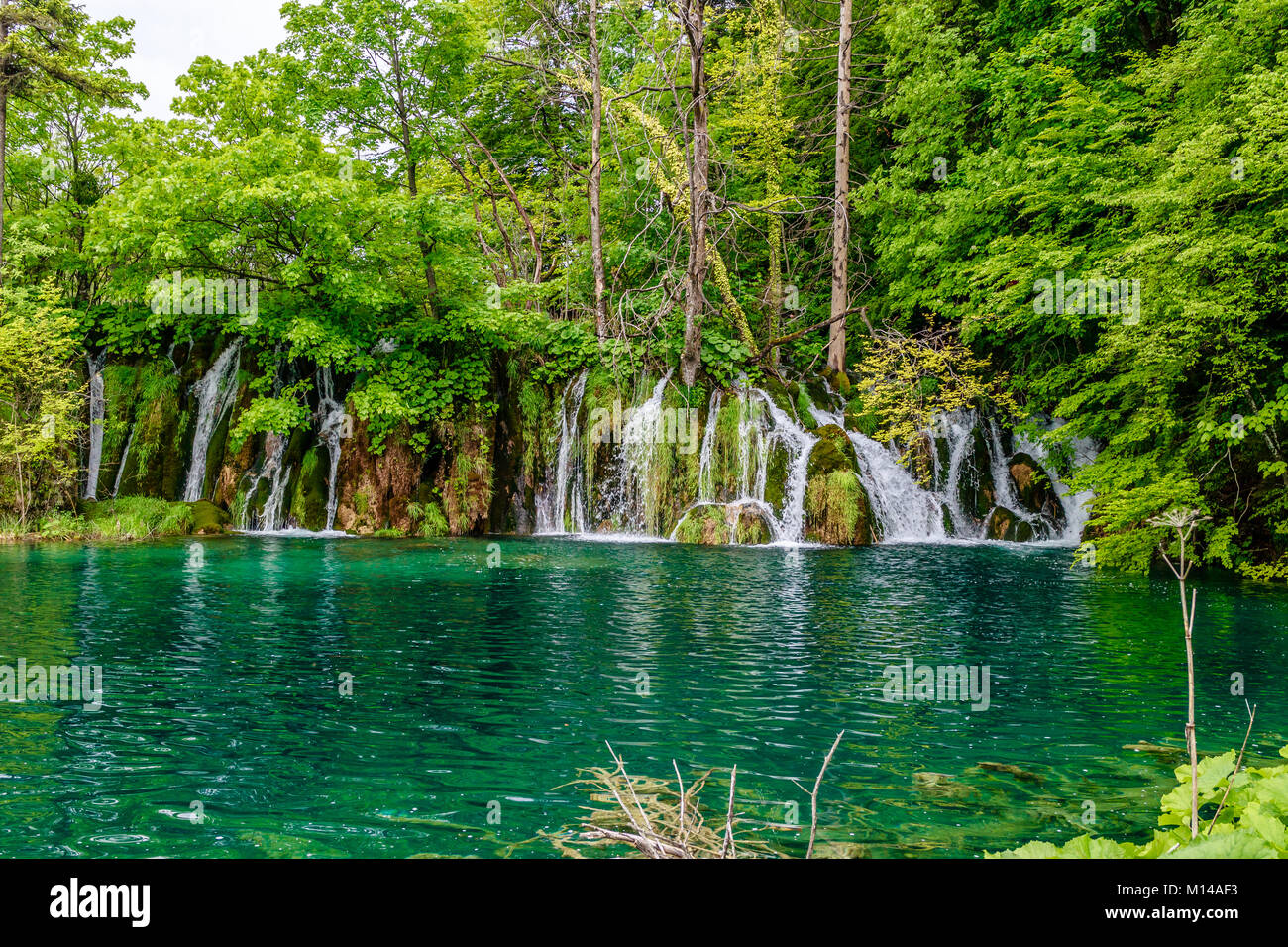 Cascade et le lac, au Parc National de Plitvice, situé à la fois dans Lika-Senj & comté de Karlovac en Croatie. Banque D'Images