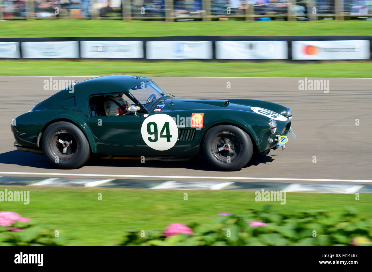 1962 AC Cobra administré par Jason Wright racing dans le RAC TT de célébrations au Goodwood Revival Banque D'Images