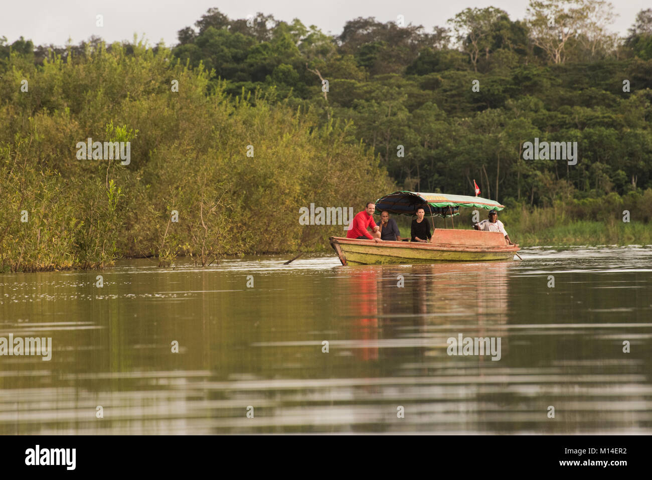 Un tour de bateau sur l'Amazone pour voir des dauphins. Banque D'Images