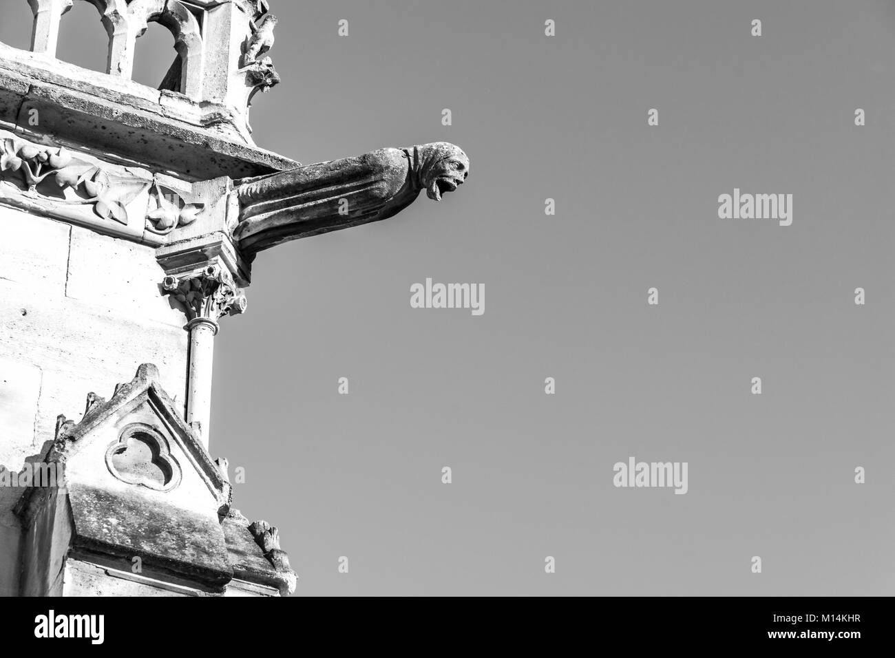 Paris, France : vue en noir et blanc d'une statue de gargouille (dragon d'eau) sur les murs de la cathédrale Notre-Dame. Banque D'Images