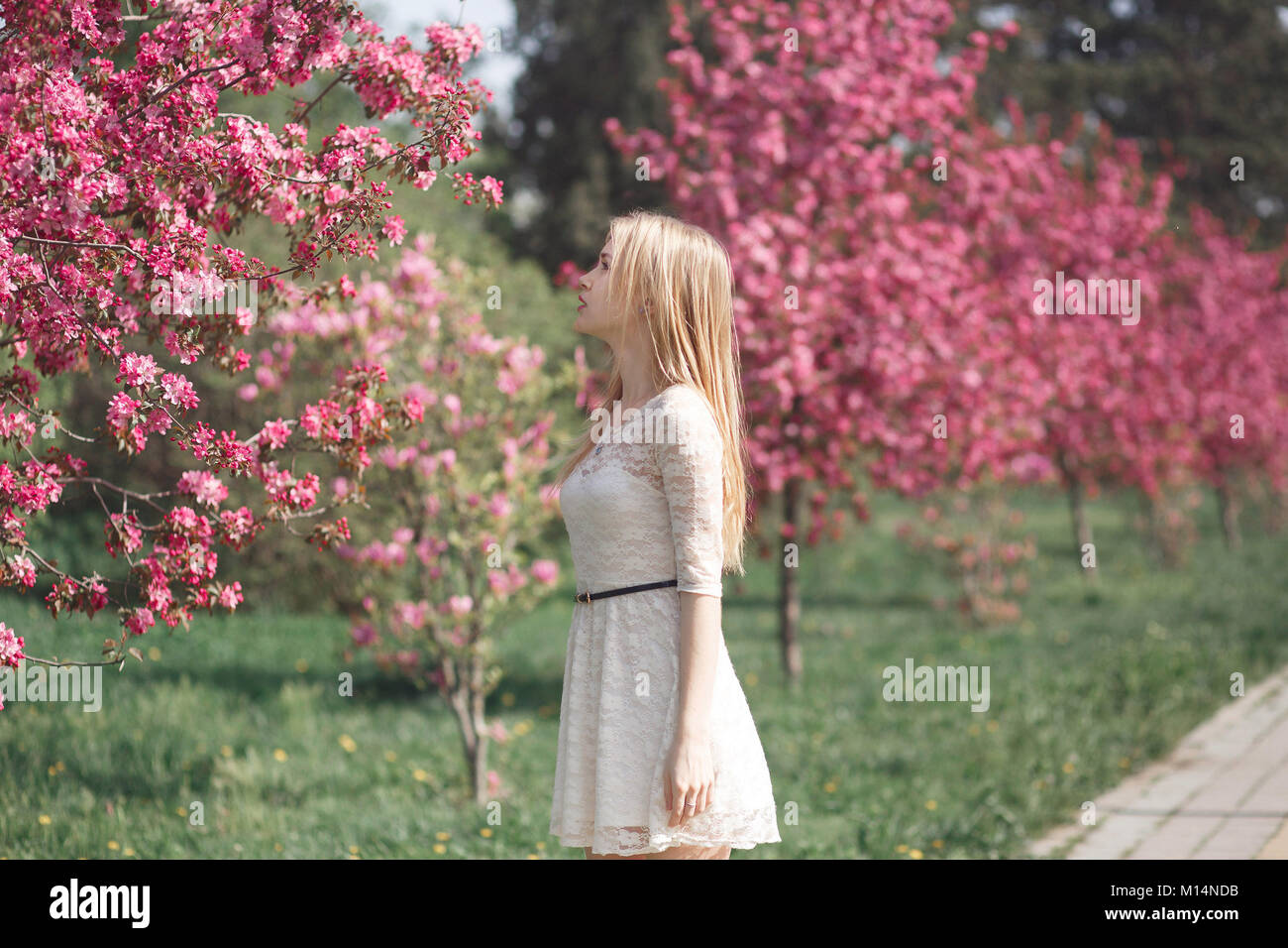 Belle jeune blonde woman enjoying journée ensoleillée dans le parc pendant la saison des cerisiers en fleur sur un beau jour de printemps Banque D'Images