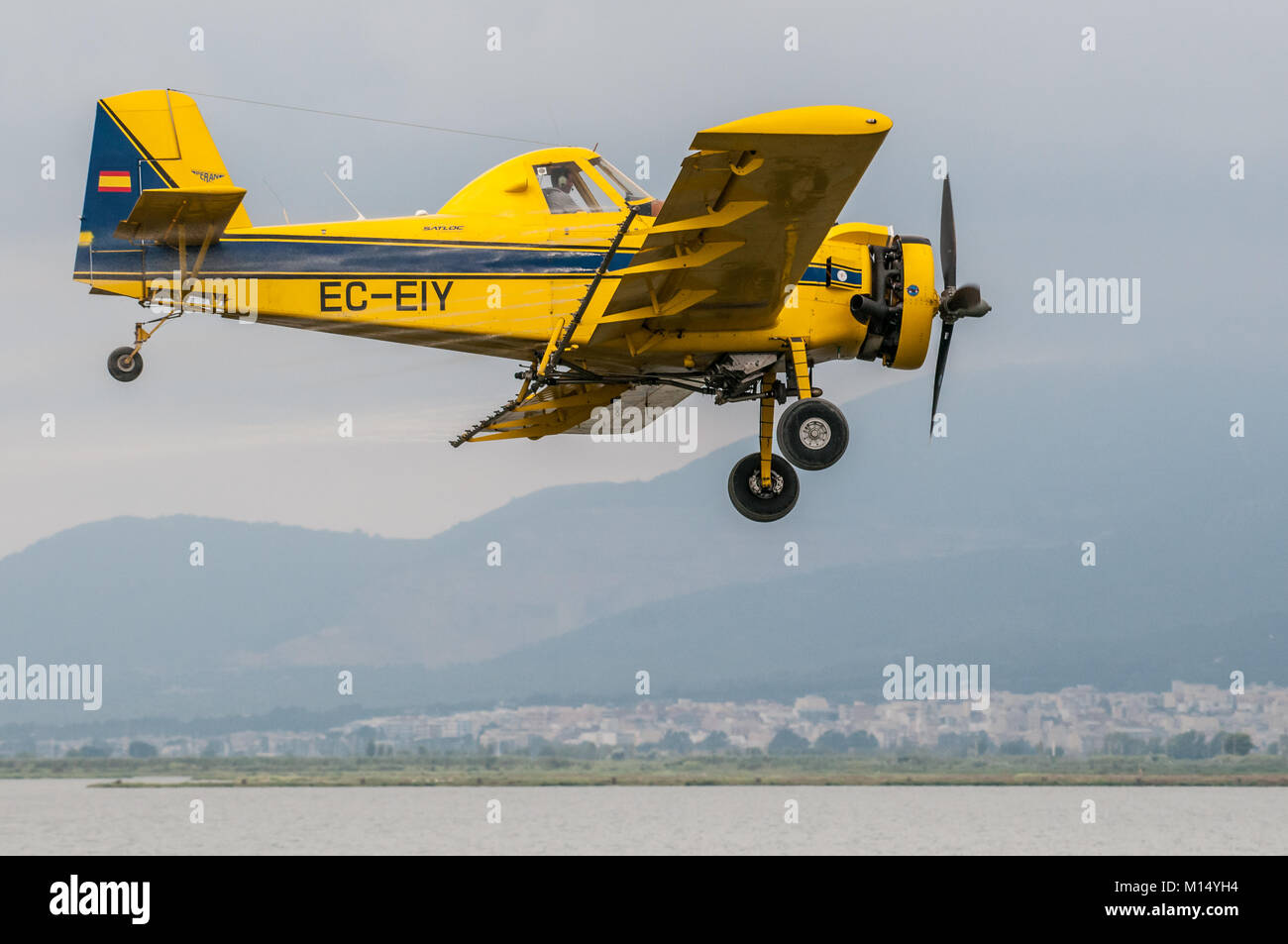 Plan jaune (Air TRACTEUR À-501) utilisé pour la fumigation, pour la peste de l'apple (escargot Pomacea insularum), Delta de l'Ebre, Tarragone, Catalogne, Espagne Banque D'Images